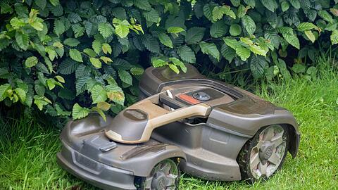 Auch ein M&auml;hroboter sollte bei der Aktion "m&auml;hfreier Mai" nicht eingesetzt werden. (Archivbild)