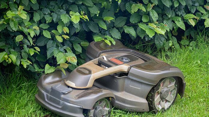 Auch ein Mähroboter sollte bei der Aktion "mähfreier Mai" nicht eingesetzt werden. (Archivbild)
