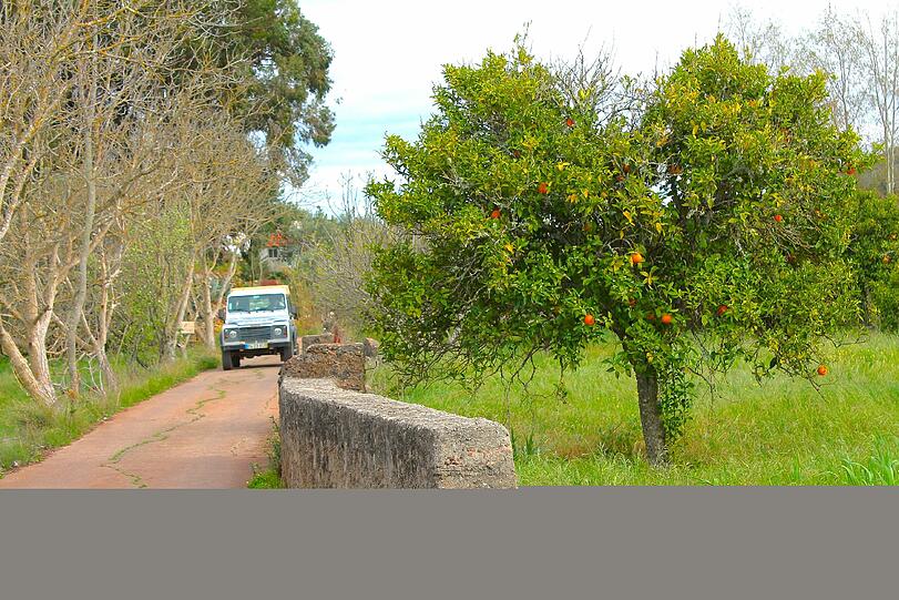 Auf der Spur der Mauren: Mit dem Landrover im Hinterland der Algarve unterwegs