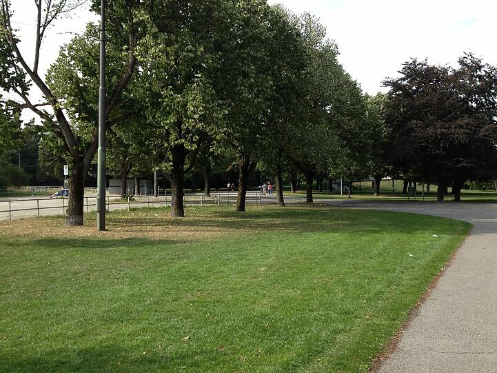 Hinter der Wendeschleife schließt sich entlang der Ackermannstraße ein Park an. Damit ist der Standort für die Skate-Anlage besonders gut geeignet.