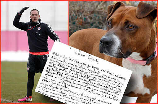 &bdquo;Cher Franck, es tut mir leid, aber ich weiß nicht mehr, an wen ich mich noch wenden könnte.&ldquo; Mit diesen Worten beginnt der Brief an Franck Ribéry. Der Mann, der den Hund ausgesetzt hatte, soll den Kicker jetzt bedroht haben.
