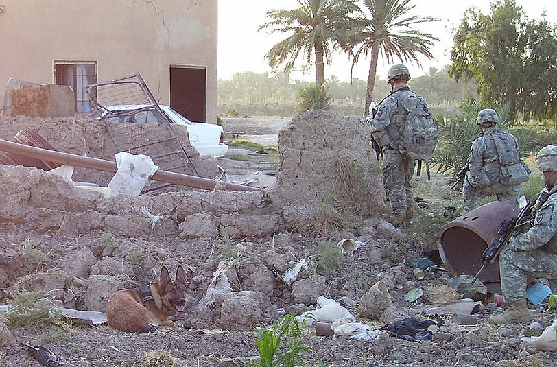 Auch bei einer Mission in Bagdad ist die Schäferhündin vor Ort.