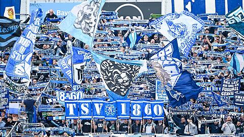 Da sind die Fans! Am 1. November im Stadion an der Grünwalder Straße: TSV 1860 München gegen FC Energie Cottbus.