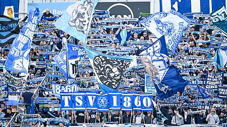 Da sind die Fans! Am 1. November im Stadion an der Grünwalder Straße: TSV 1860 München gegen FC Energie Cottbus.