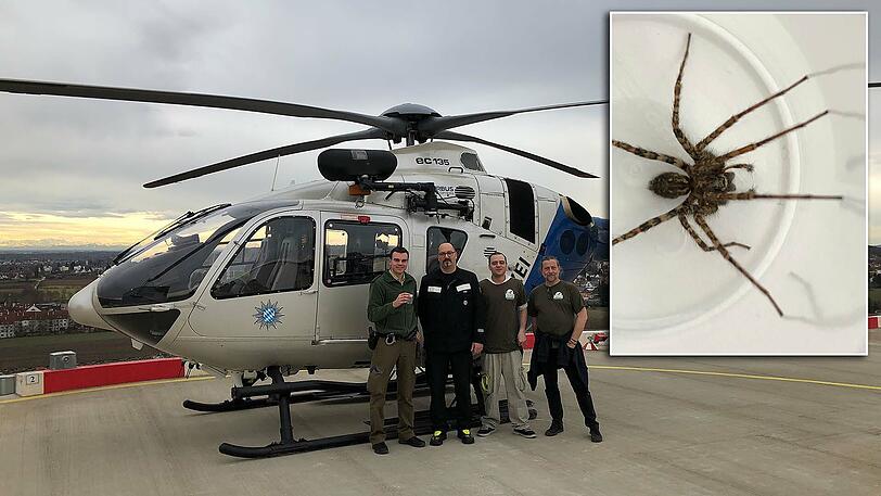 Die Einsatzkräfte vor dem Hubschrauber. Rechts im Bild ist die Spinne, die für die Aufregung sorgte.