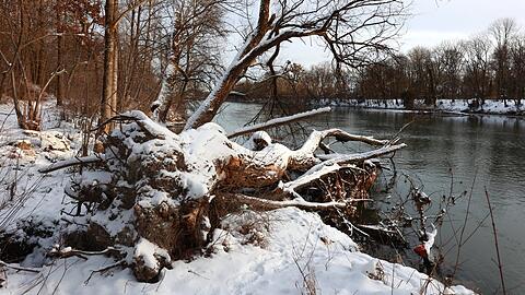 Die ersten Sonnnenstrahlen beleuchten den Schnee, wild schaut die Natur hier aus.