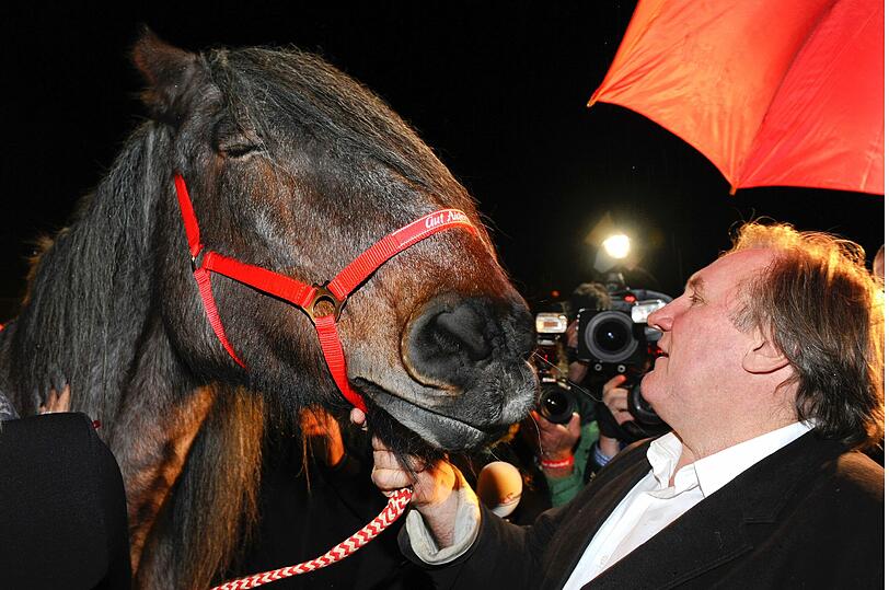 Das Pferd und der Schauspieler verstehen sich