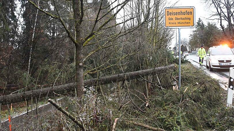 Auch im Umland, wie hier in Oberhaching, hatte die Feuerwehr mit umgestürzten Bäumen zu kämpfen.