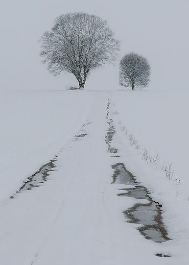 Der Winter kam zurück: Bei dichtem Schneetreiben gelang AZ-Leser Peter Fischer dieses Foto auf dem Weg von Gauting nach Unterbrunn.