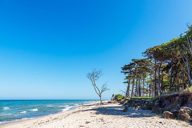 Meer ja, überfüllte Strände nein - geht das überhaupt während der Hauptsaison? Ja - in Deutschland generell besser als am Mittelmeer. Besonders ruhig geht es auf der Halbinsel Fischland-Darß-Zingst an der Ostsee zu. Die traumhafte Natur des Nationalparks Vorpommersche Boddenlandschaft, lange Sandstrände und süße Örtchen machen das Herunterfahren hier leicht. Meer ja, überfüllte Strände nein - geht das überhaupt während der Hauptsaison? Ja - in Deutschland generell besser als am Mittelmeer. Besonders ruhig geht es auf der Halbinsel Fischland-Darß-Zingst an der Ostsee zu. Die traumhafte Natur des Nationalparks Vorpommersche Boddenlandschaft, lange Sandstrände und süße Örtchen machen das Herunterfahren hier leicht.