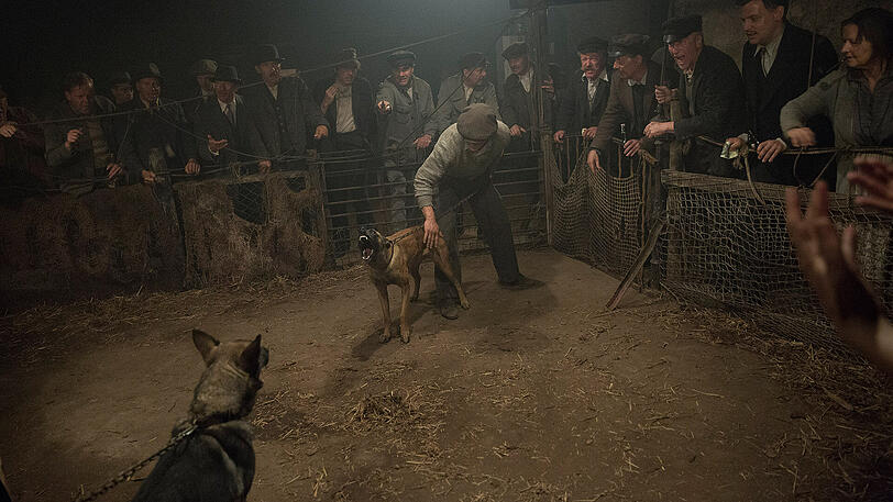 Babylon Berlin: Illegaler Hundewettkampf