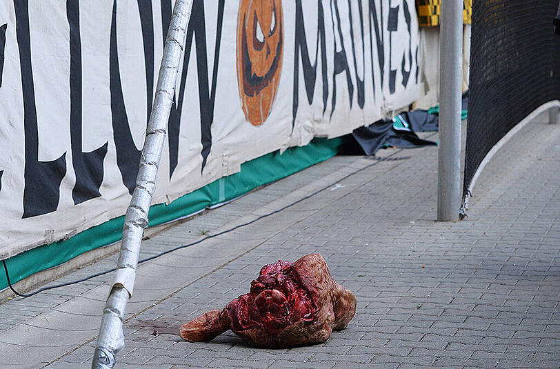 Angeblich wurde der Kopf des Tieres während der ersten Halbzeit vor dem K-Block, in dem traditionell die Dresdner Ultras stehen, platziert.