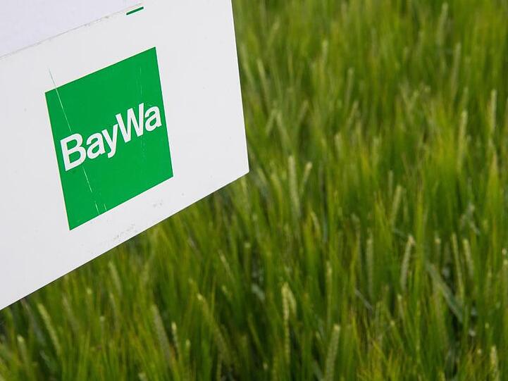 Das Logo von Baywa ist auf einem Schild in einem Feld zu sehen. Foto: Fabian Sommer/dpa/Archivbild