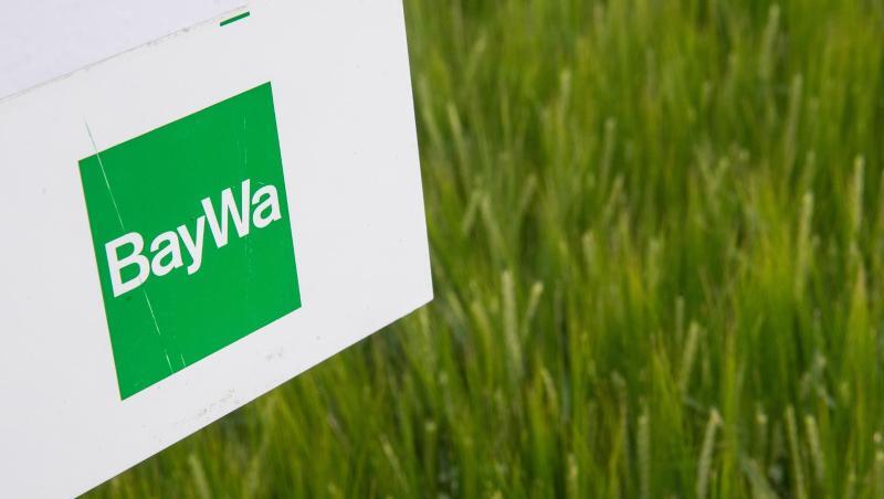 Das Logo von Baywa ist auf einem Schild in einem Feld zu sehen. Foto: Fabian Sommer/dpa/Archivbild Das Logo von Baywa ist auf einem Schild in einem Feld zu sehen. Foto: Fabian Sommer/dpa/Archivbild