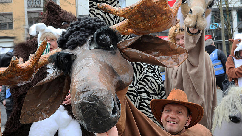 Klicken Sie sich durch die weiteren Bilder vom Faschingsumzug am Sonntag.