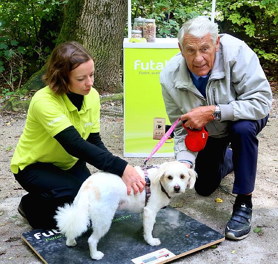 Terrier Trixi ist ein Schleckermaul - und bringt deshalb 13,4 Kilo auf die Waage: leichtes Übergewicht. Ein paar Pfunde weniger wären gesünder.