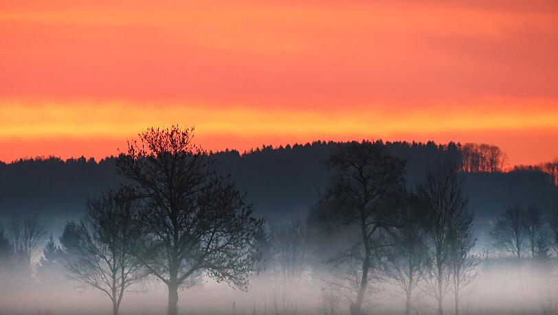 In Süddeutschland soll es in den kommenden Tagen meist sonnig sein.