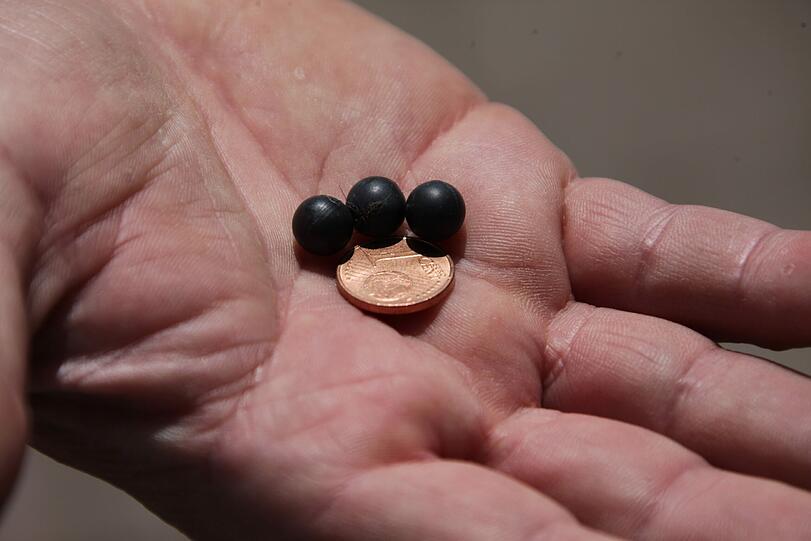Diese Plastik-Kugeln steckten im Rücken von &bdquo;Kreuzerl&ldquo; und in der Brust von &bdquo;Mon Chi Chi&ldquo;.