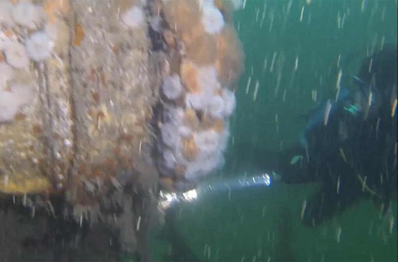Ein Taucher untersucht das Wrack des deutschen U-Boots U-31