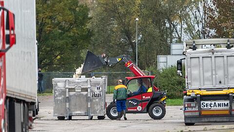 Gr&ouml;&szlig;ere Best&auml;nde Gefl&uuml;gel mussten wegen Krankheiten gekeult werden. (Foto:Archiv)