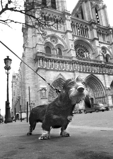 Weltberühmt: das Münchner Olympia-Maskottchen 1970 vor Notre Dame in Paris.