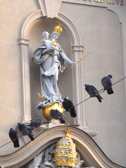 Für viele sind sie "Ratten der Lüfte" doch wie diese Tauben vor der Kirche kuscheln, sieht eigentlich ganz friedlich aus.