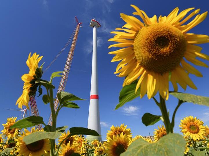 Hinter einem Sonnenblumenfeld wird eine neue Windenergieanlage aufgebaut: Der künftig Kurs der EU in Sachen Klimaschutz ist umstritten.