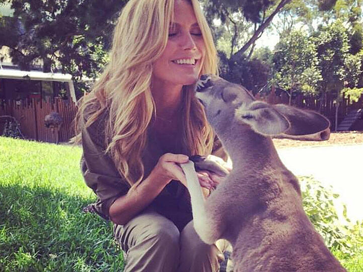 Heidi Klum hat einen tierischen Freund gefunden