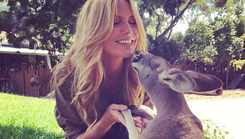 Heidi Klum hat einen tierischen Freund gefunden Heidi Klum hat einen tierischen Freund gefunden