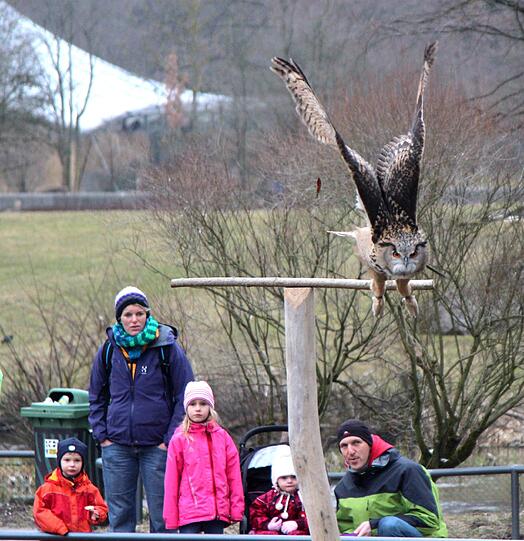 Die Greifvogel-Show im Tierpark hat jetzt eine richtige Zuschauertribüne bekommen. Am Dienstag wurde sie eröffnet.