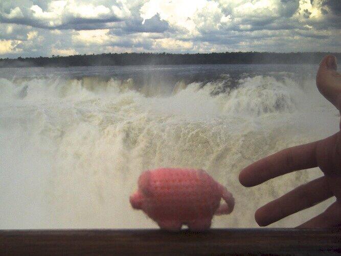 Die Iguazu-Wasserfälle hat das kleine Knäuel aus rosa Wolle auch schon gesehen.