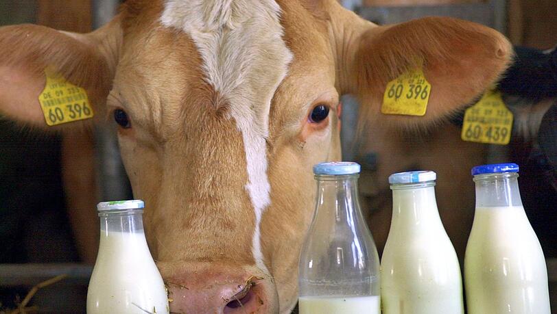 Nachdem einige Bauern über die niedrigen Milchpreise der Großhändler geklagt hatten, kommen jetzt erste Discounter dem Hilferuf einer Preissteigerung nach. Nachdem einige Bauern über die niedrigen Milchpreise der Großhändler geklagt hatten, kommen jetzt erste Discounter dem Hilferuf einer Preissteigerung nach.