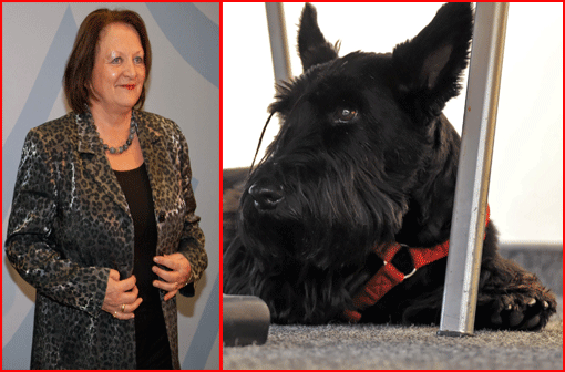 Sabine Leutheusser-Schnarrenberger hat Ärger wegen ihrer Franzi - die Scottish Terrier-Dame soll eine Frau gebissen haben.