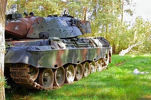 An dieser Birke war Endstation für den Leopard. Sieben Menschen wurden bei der Fahrt mit dem Kampfpanzer verletzt.