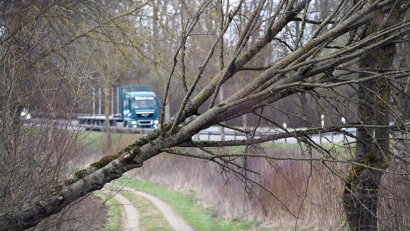 Angeknaxte Äste können schon bei leichtem Wind abbrechen. Dann wird's für Spaziergänger gefährlich. Angeknaxte Äste können schon bei leichtem Wind abbrechen. Dann wird's für Spaziergänger gefährlich.