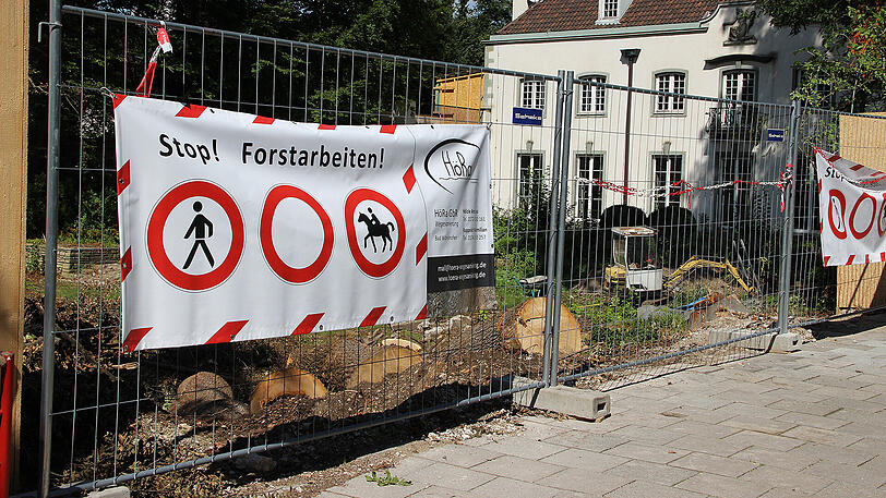 Kahlschlag hinterm Bauzaun an der Mauerkircherstraße 65: Etwa 20 Bäume sind gefällt worden, sie müssen für einen vierstöckigen Neubau weichen.