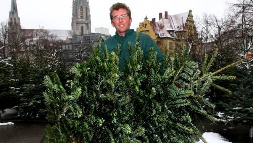Weihnachtsbaumverkäufer Richard Tomazevicz steht mit einer Nordmanntanne an der Wiesn. Weihnachtsbaumverkäufer Richard Tomazevicz steht mit einer Nordmanntanne an der Wiesn.