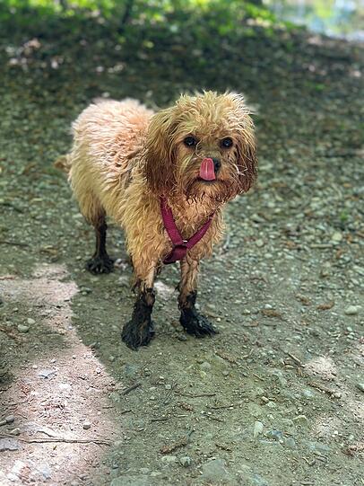 Winnie: Eine kleine sehr liebe Wasserratte die man einfach lieb haben muss.
