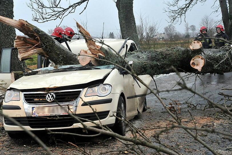 In Polen starben drei Menschen, als ein Baum auf ihr Auto stürzte.
