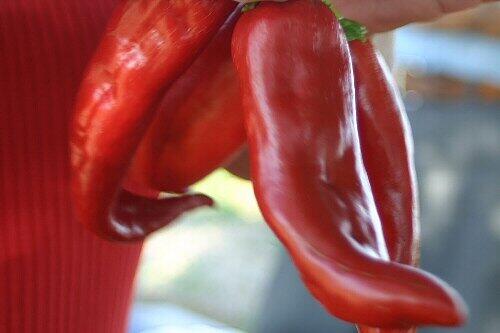 Chili heizt ein