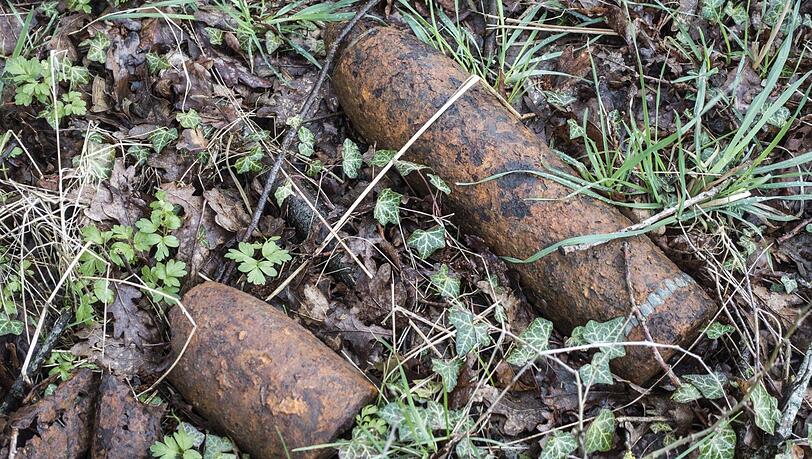 Ein 22-Jähriger fand beim Wandern eine scharfe Weltkriegs-Sprenggranate. (Symbolfoto) Ein 22-Jähriger fand beim Wandern eine scharfe Weltkriegs-Sprenggranate. (Symbolfoto)