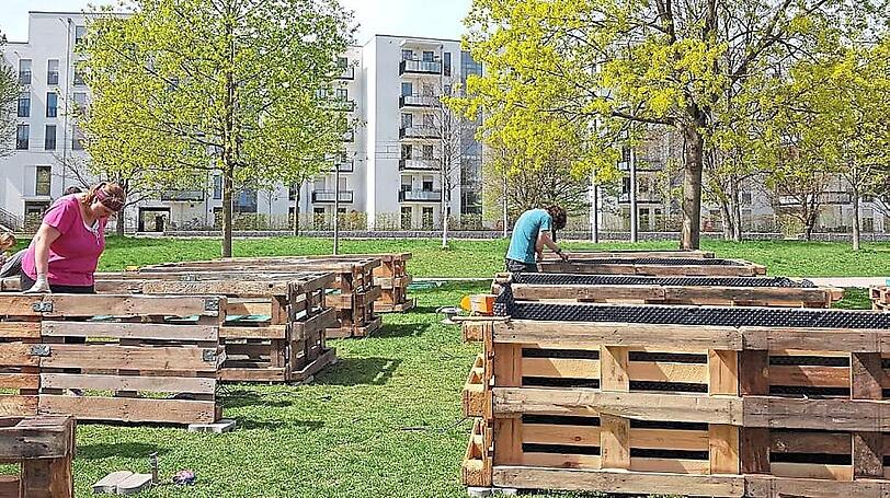 Zehn Hochbeete werden vom "Stadtgemüse" bewirtschaftet.