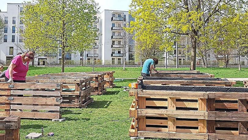 Zehn Hochbeete werden vom "Stadtgemüse" bewirtschaftet. Zehn Hochbeete werden vom "Stadtgemüse" bewirtschaftet.