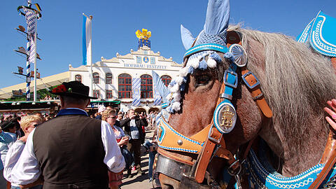 Die Tierrechtsorganisation Peta fordert ein Verbot von Pferdekutschen auf der Wiesn. (Archivbild)
