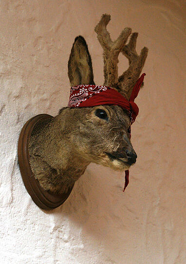 Aparter Geweih-Schmuck an der Wand.