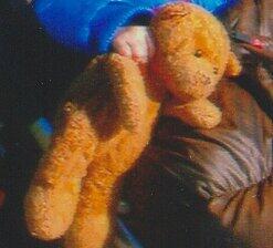 ... seinen Teddy. So sieht der Bär aus.