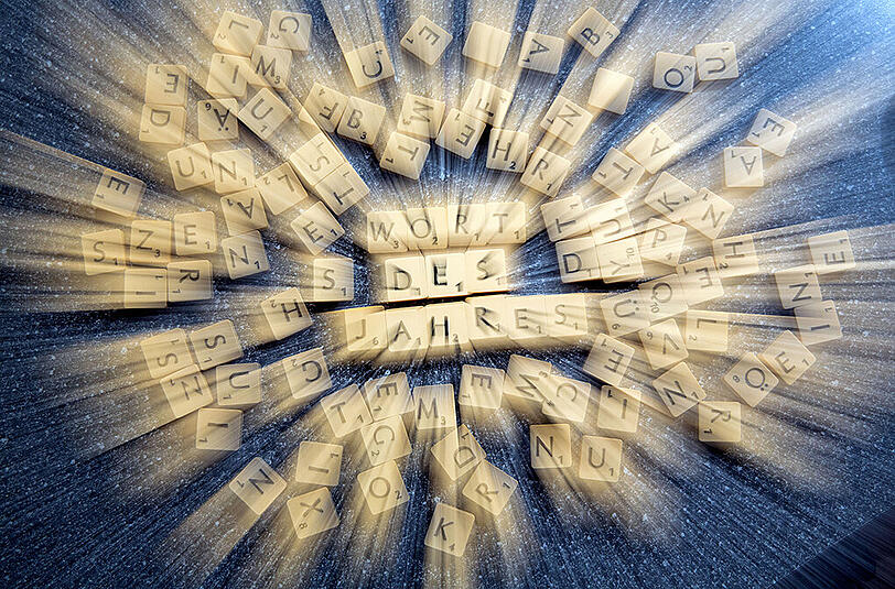 Jedes Jahr kürt die Gesellschaft für deutsche Sprache (GfdS) das Wort des Jahres.