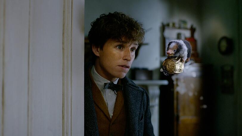 Zwerg-Schnabeltierhamster? Oder der leibhaftige Wolpertinger? New Scamander (Eddie Redmayne) mit einem phantastischen Tierwesen.