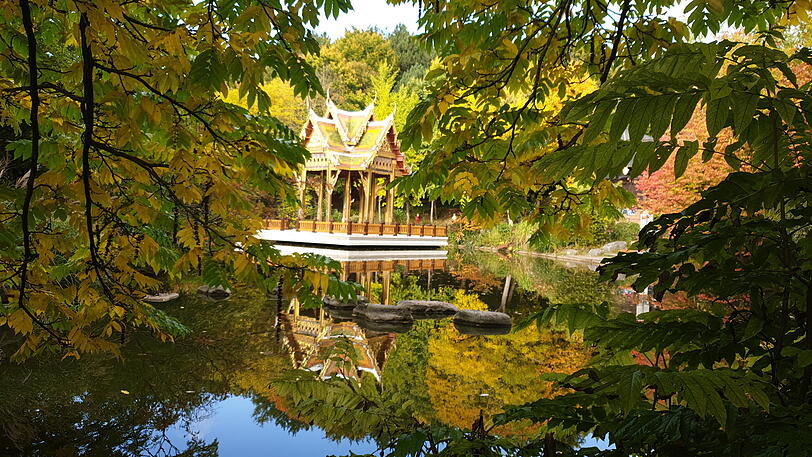 Die Pagode im Westpark spiegelt sich im Wasser. Die Pagode im Westpark spiegelt sich im Wasser.
