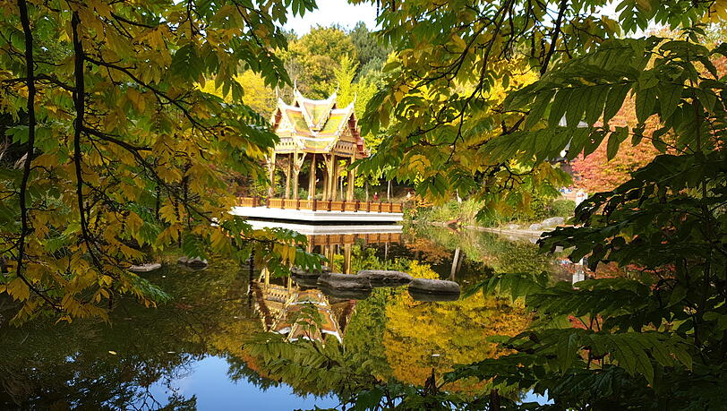 Die Pagode im Westpark spiegelt sich im Wasser.